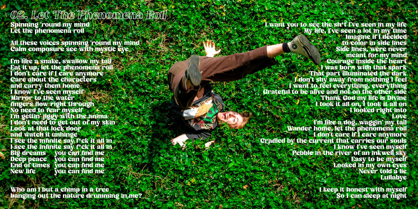 Let The Phenomena Roll (2025) CD
